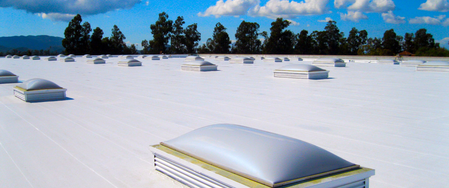Single ply membrane roof